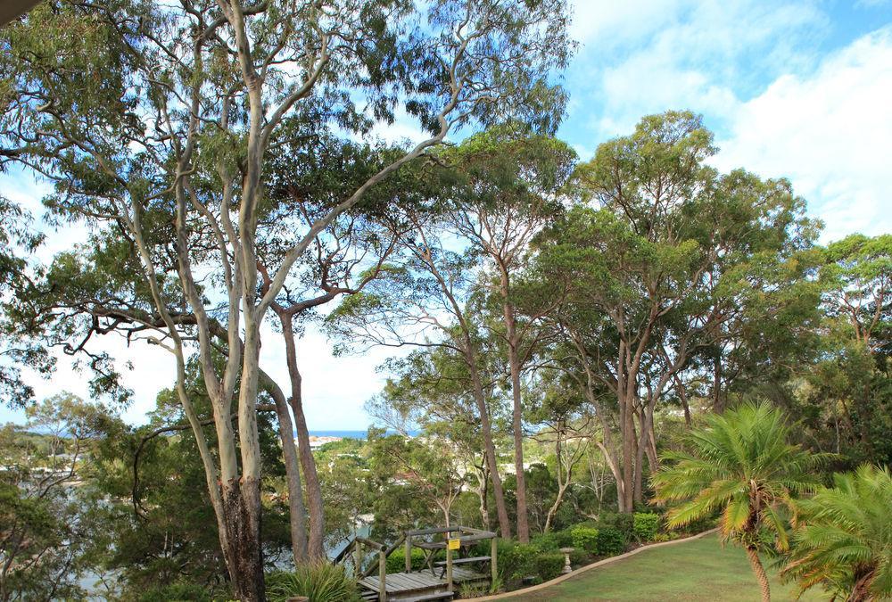 Macquarie Lodge Noosa Heads Esterno foto