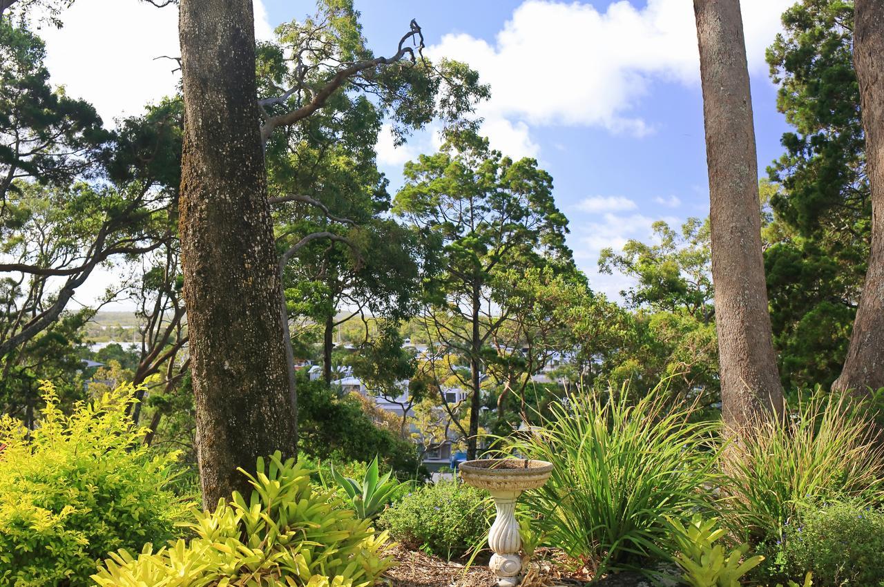 Macquarie Lodge Noosa Heads Esterno foto