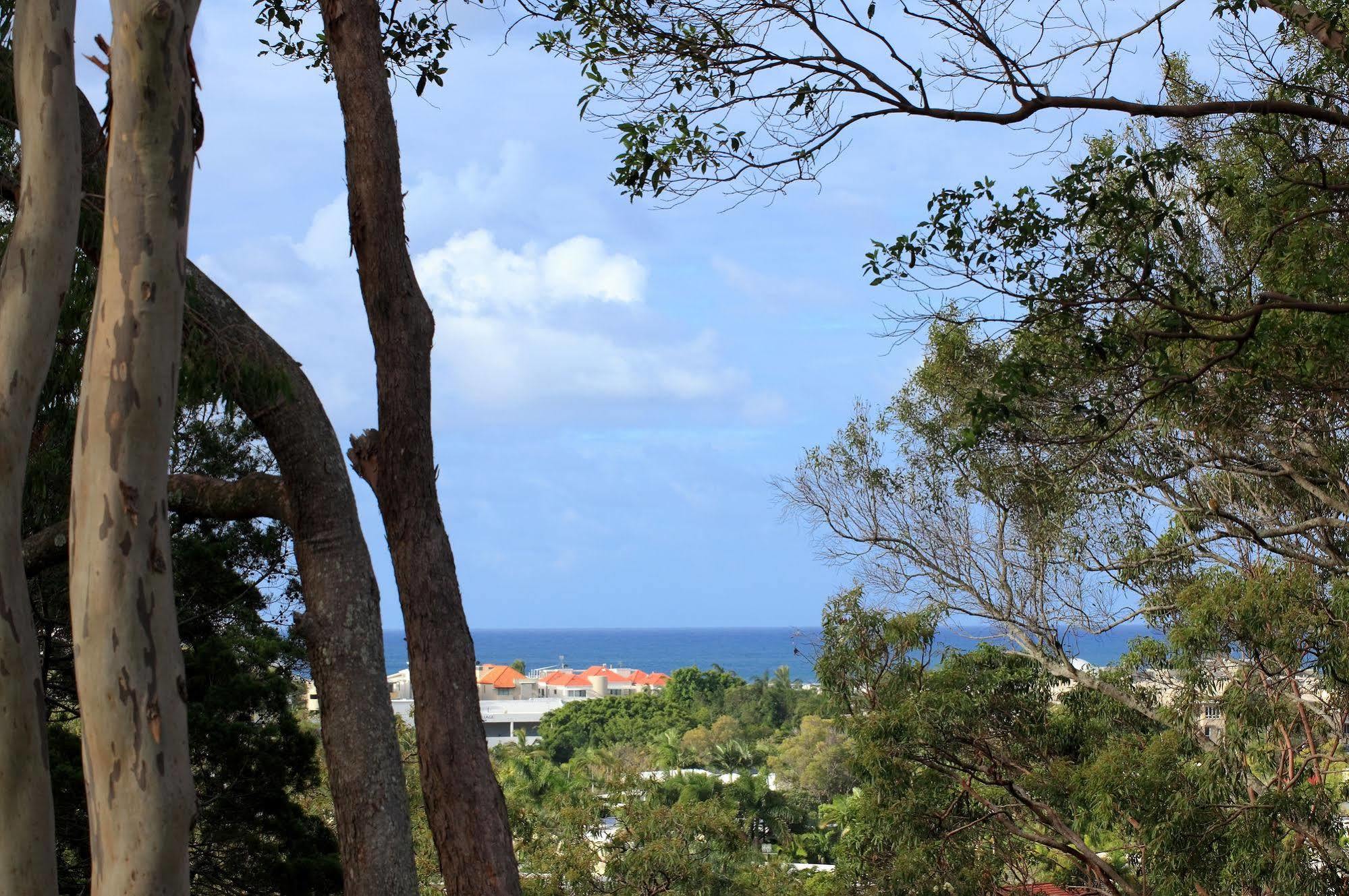 Macquarie Lodge Noosa Heads Esterno foto